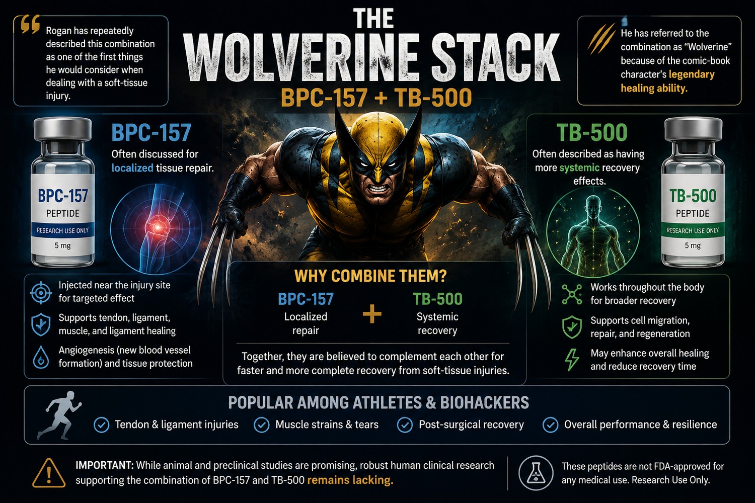 The Wolverine Stack infographic: BPC-157 for localized tissue repair combined with TB-500 for systemic recovery, popular among athletes and biohackers, both labeled research use only and not FDA approved